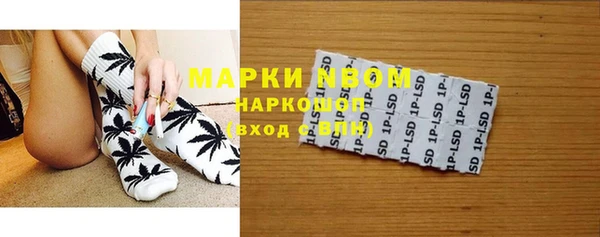 ГАЛЛЮЦИНОГЕННЫЕ ГРИБЫ Вязники