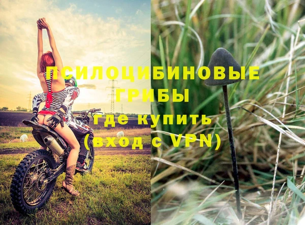 соль курить ск Вязьма