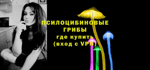 ГАЛЛЮЦИНОГЕННЫЕ ГРИБЫ Вязники