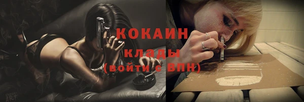 ГАЛЛЮЦИНОГЕННЫЕ ГРИБЫ Вязники