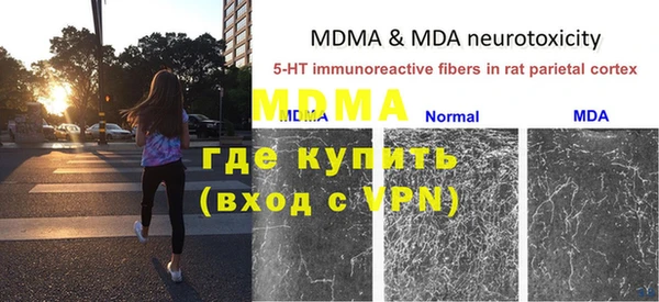 ГАЛЛЮЦИНОГЕННЫЕ ГРИБЫ Вязники