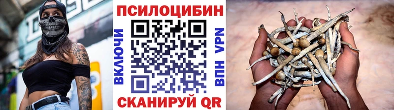 Купить закладки Белинский Псилоцибиновые грибы Psilocybine cubensis